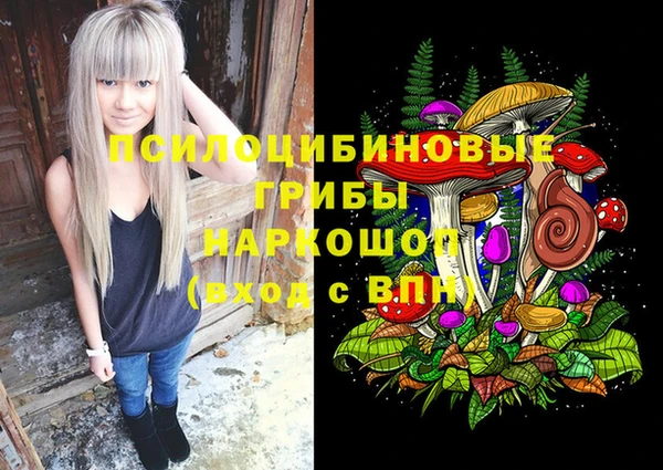 круглые Алзамай