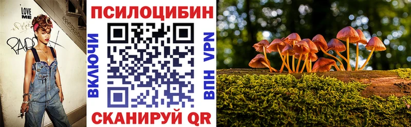 Галлюциногенные грибы GOLDEN TEACHER  что такое   Муром 